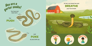 You Are a Garter Snake! by Thompson