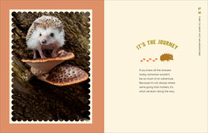 Every Little Thing Quill Be All Right: Hedgehugs and Happiness for When Life Feels Prickly