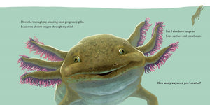 Hello, I'm an Axolotl (Meet the Wild Things, Book 4) by Rocco