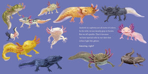 Hello, I'm an Axolotl (Meet the Wild Things, Book 4) by Rocco