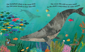 Ocean: A Peek-Through Board Book