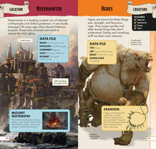 Dungeons & Dragons Pocket Expert by King