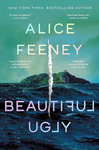 Beautiful Ugly: A Novel cover image