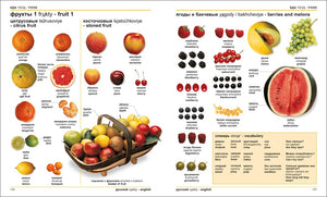 Russian-English Bilingual Visual Dictionary