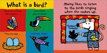 Maisy Loves Birds: A Maisy's Planet Book by Cousins