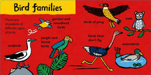 Maisy Loves Birds: A Maisy's Planet Book by Cousins