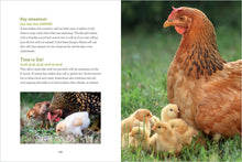 How to Read a Chicken's Mind: Understand How Chickens Learn, Perceive People, Express Emotions, and Pass Down Knowledge by Caughey