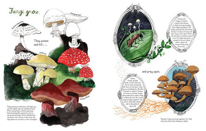 Fungi Grow by Gianferrari