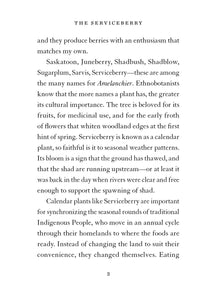 The Serviceberry: Abundance and Reciprocity in the Natural World by Kimmerer and Burgoyne