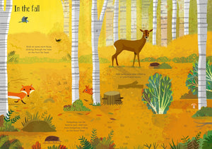 Little First Stickers In the Forest, Caroline Young, Gareth Lucas