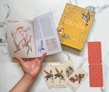 Vintage Birds: A Guidebook and Matching Game