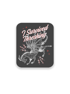 Fourth Wing: Dragonrider Stickers - Sticker Set of 4