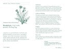 The Herb Almanac: A Seasonal Guide to Medicinal Plants